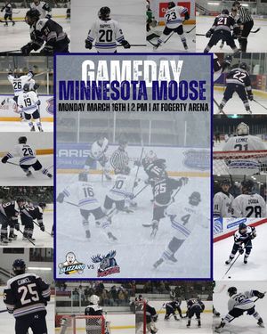 Image post by @mnmoosehockey on Instagram