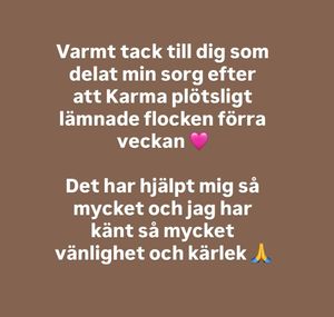 Image post by @det_goda_hundagarskapet on Instagram