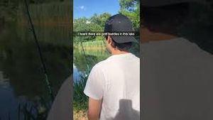 Video post by @mountaindew on YouTube