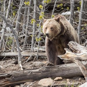 Image post by @nationalparkservice on Instagram