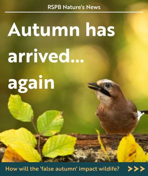 Image post by @rspb on Instagram