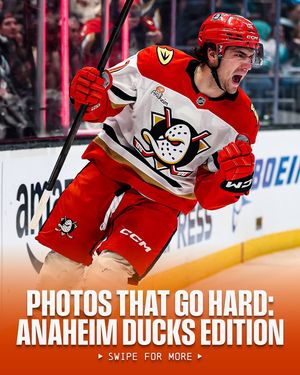 Image post by @nhl on Instagram