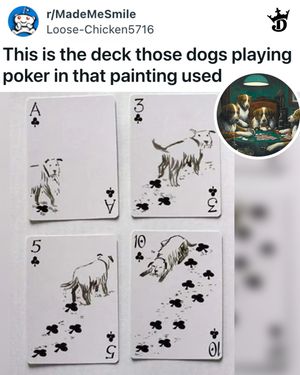 Video post by @dkcasino on TikTok
