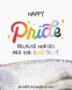 Image post by @theplaidhorsemag on Instagram