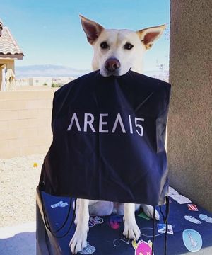 Image post by @AREA15LasVegas on Facebook