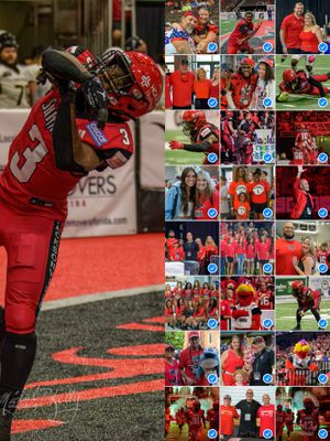 Image post by @jaxsharks on Instagram