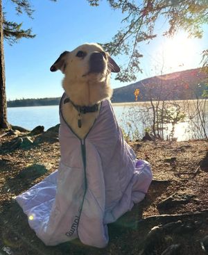 Image post by @gorumpl on Instagram