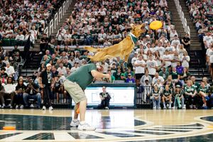 Image post by @zekethewonderdog_ on Instagram