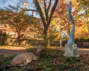 Image post by @ohio.university on Instagram