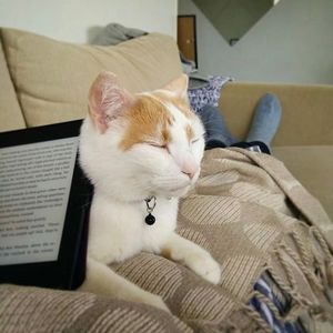Image post by @amazon on Instagram
