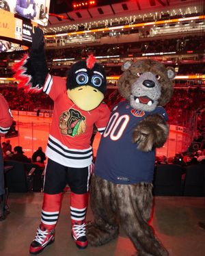 Image post by @therealstaley on Instagram