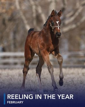 Image post by @coolmoreamerica on Instagram