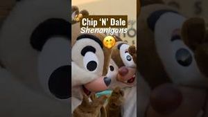 Video post by @disneyparks on YouTube