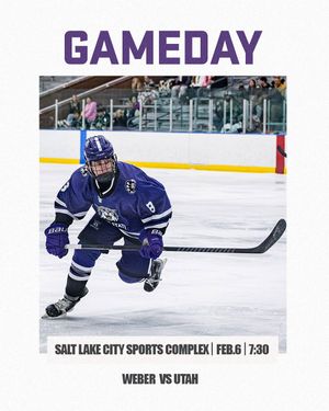 Image post by @wsumenshockey on Instagram