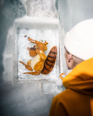 Image post by @jungfraujochtopofeurope on Instagram