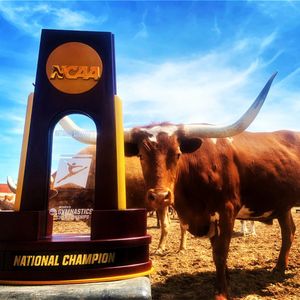 Image post by @fortworthsports on Instagram