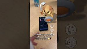 Video post by @duolingo on YouTube