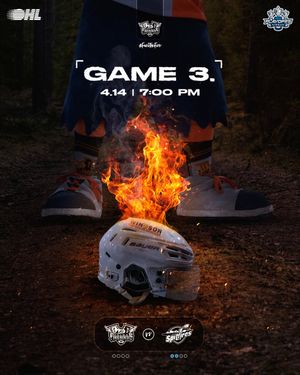 Image post by @flintfirebirds on Instagram