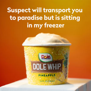 Image post by @dolesunshine on Instagram