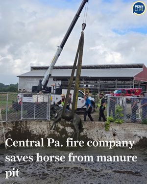 Image post by @pennlive on Instagram