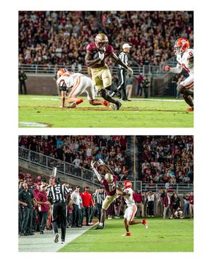 Image post by @bellasteigerwaltmedia on Instagram