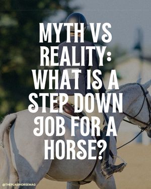 Image post by @theplaidhorsemag on Instagram