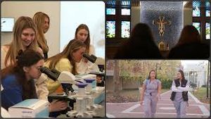 Video post by @provcollege on YouTube