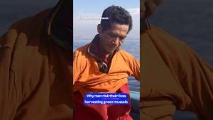Video post by @insiderbusiness on YouTube