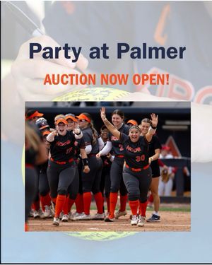 Image post by @uvasoftball on Instagram