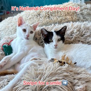 Video post by @petsmart on TikTok