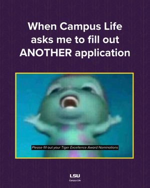 Image post by @lsucampuslife on Instagram