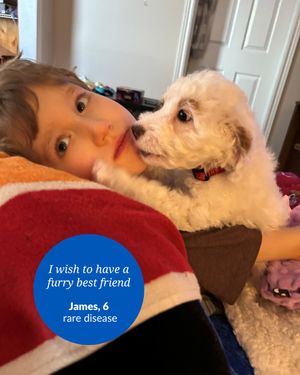 Image post by @makeawish_canada on Instagram
