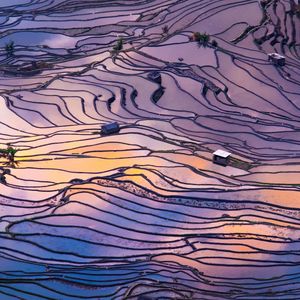 Image post by @bbcearth on Instagram