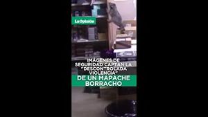 Video post by @laopinionla on YouTube