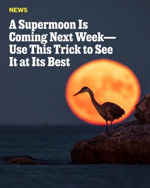 Image post by @outsidemagazine on Instagram