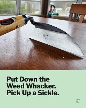 Image post by @wirecutter on Instagram