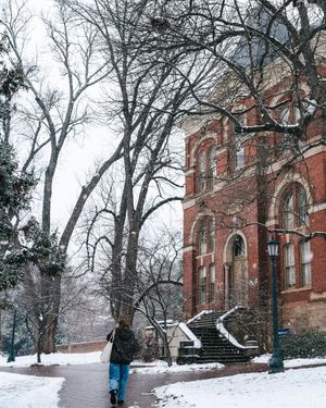 Image post by @uva on Instagram
