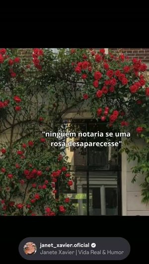 Video post by @janet_xavier.oficial on Instagram
