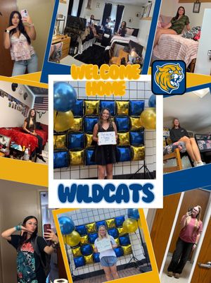 Image post by @jwusoftball on Instagram