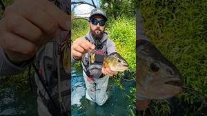 Video post by @jonasederfishing on YouTube