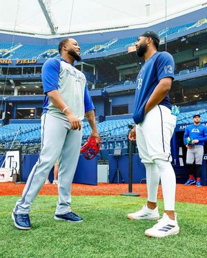 Image post by @raysbeisbol on Instagram
