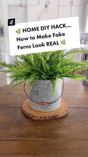 Video post by @livinglocurto on TikTok
