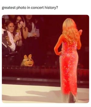 Image post by @stubhub on Instagram