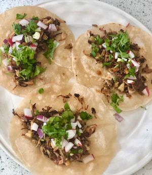 Image post by @eatcoyotas on Instagram