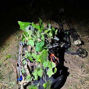 Image post by @thehuntingchallenge on Instagram