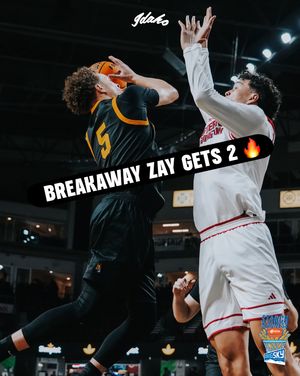 Image post by @vandalhoops on Instagram