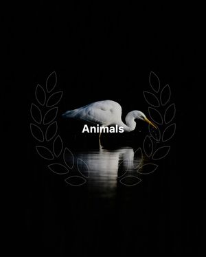 Image post by @unsplash on Instagram
