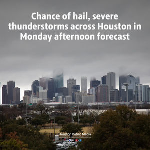 Image post by @houstonpubmedia on Instagram