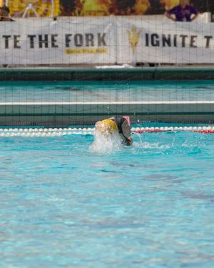 Image post by @sundevilwaterpolo on Instagram