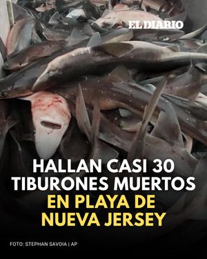 Image post by @eldiariony on Instagram
